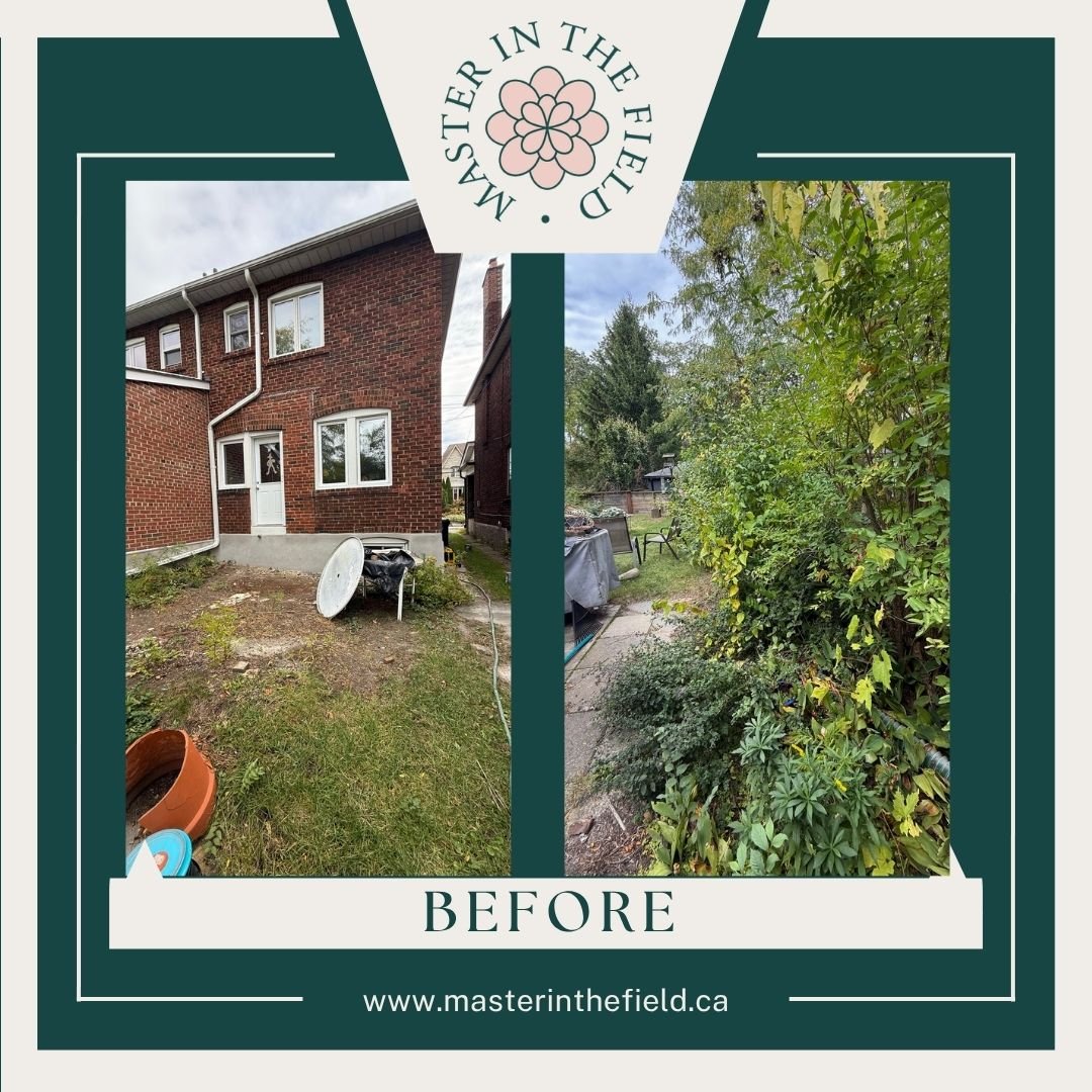 222 Windermere BEFORE.jpg
