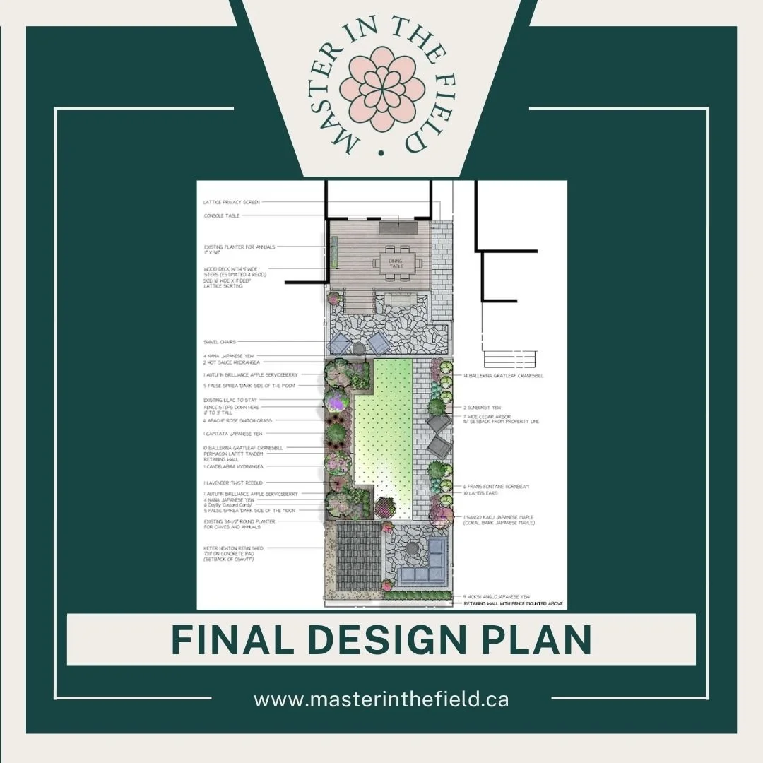 222 Windermere DESIGN PLAN.jpg