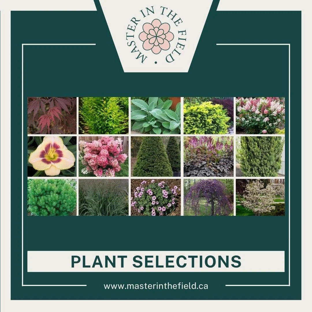 222 Windermere PLANTS.jpg