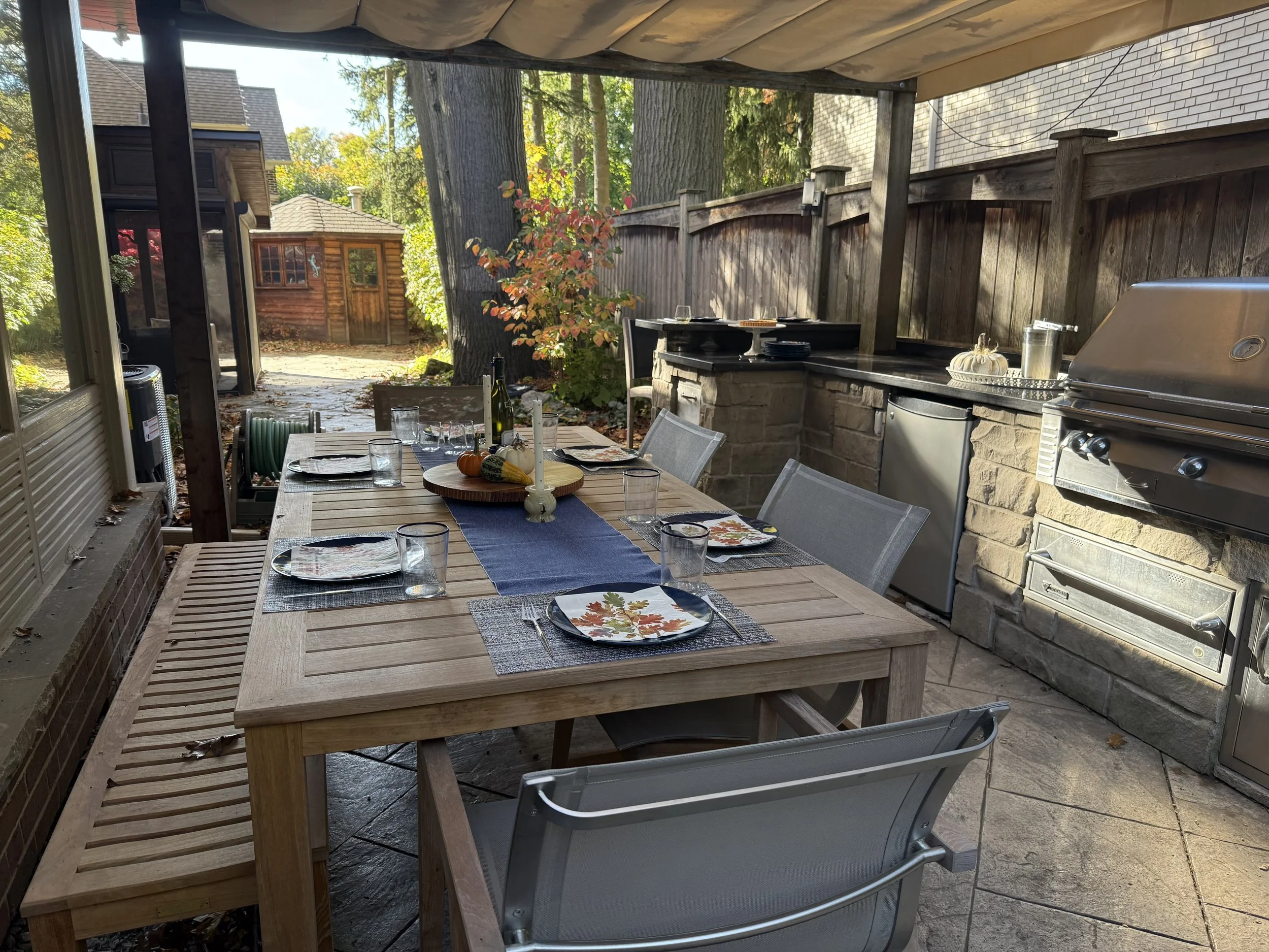 woodland-cottage-theme-landscape-design-toronto-master-in-the-field-landscape-design-stephanie-leblanc-landscape-designer-clients-wanted-a-fresh-vision-for-their-backyard-space-woodland-cottage-design-theme-gardens-with-native plants-colour-texture-f