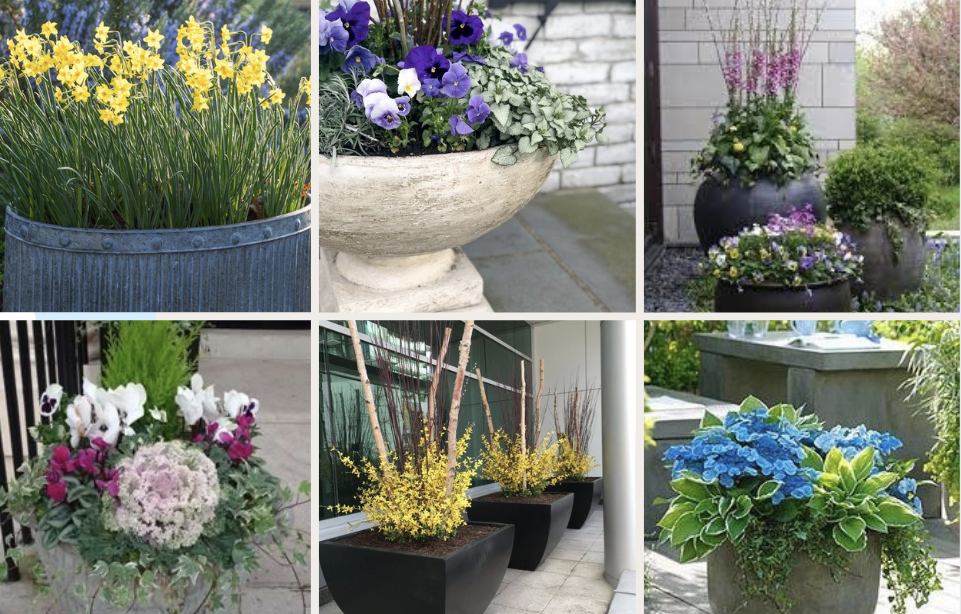 Spring pots are perfect for small spaces, colour control, early interest, and easy updates before committing to garden beds for your yard.