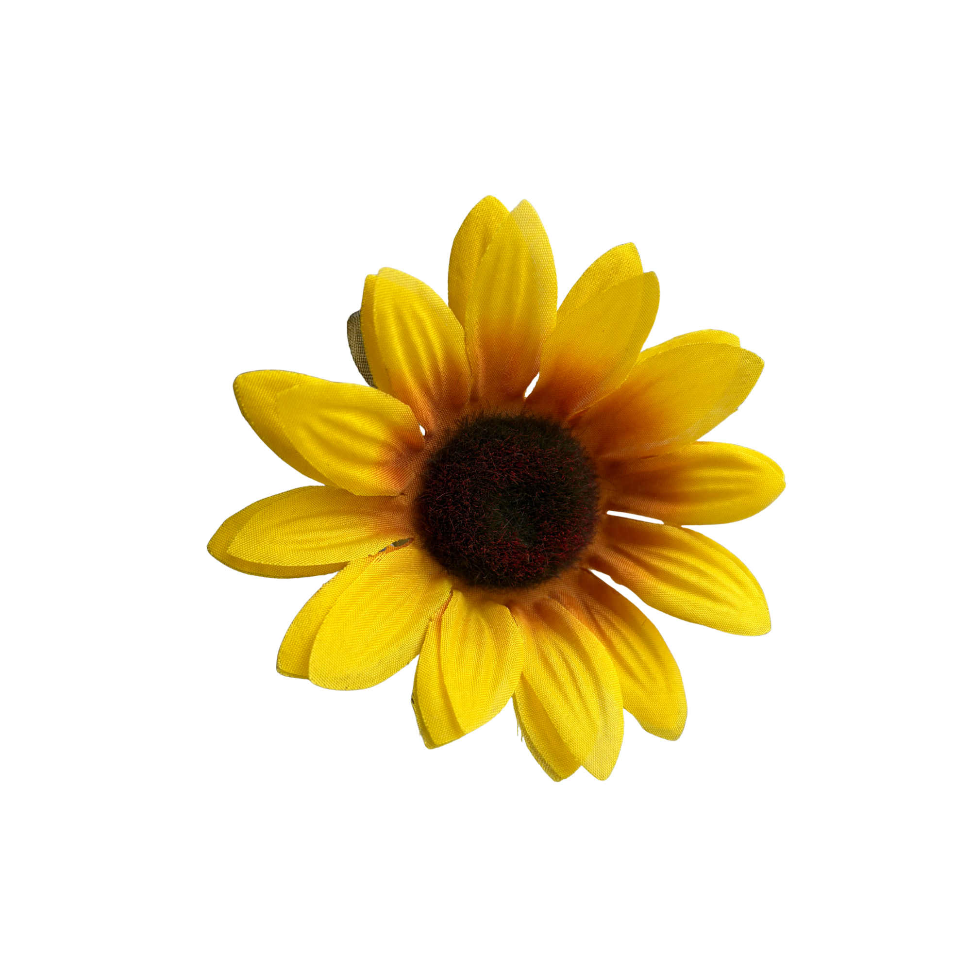 Sunflower.png