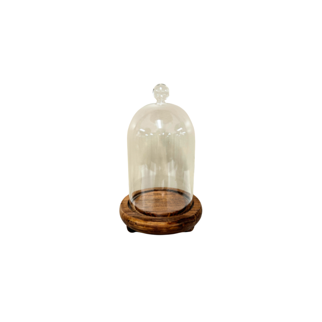 Medium Glass Apothecary Jar