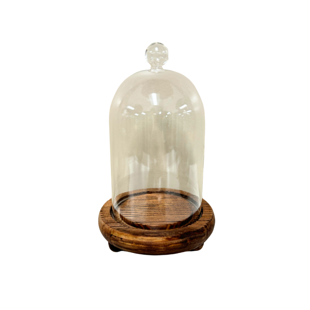 Tall Glass Apothecary Jar