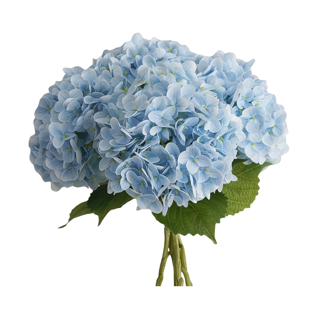 Blue Hydrangeas.png