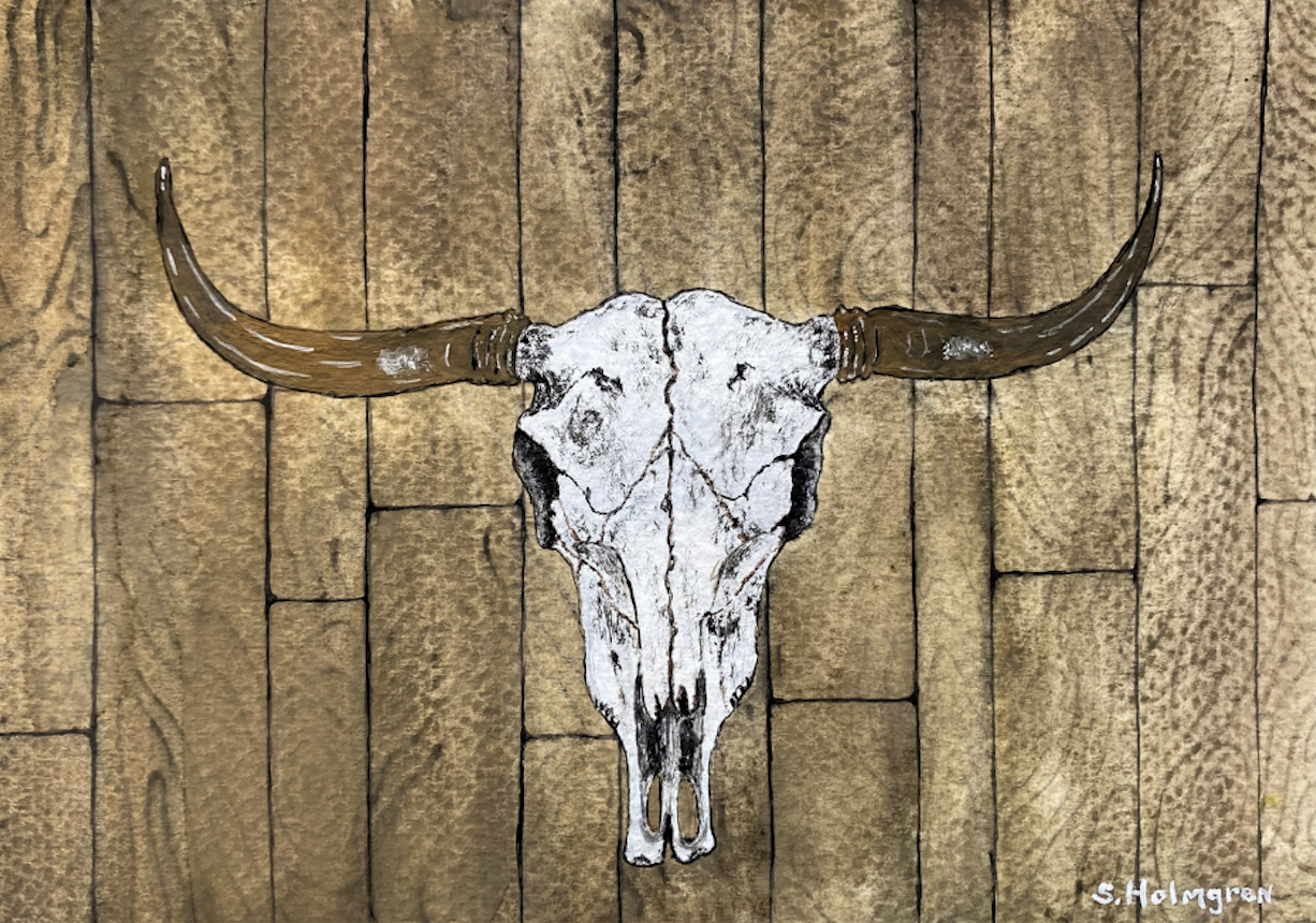 Longhorn Skull - 5" x 7" - $10