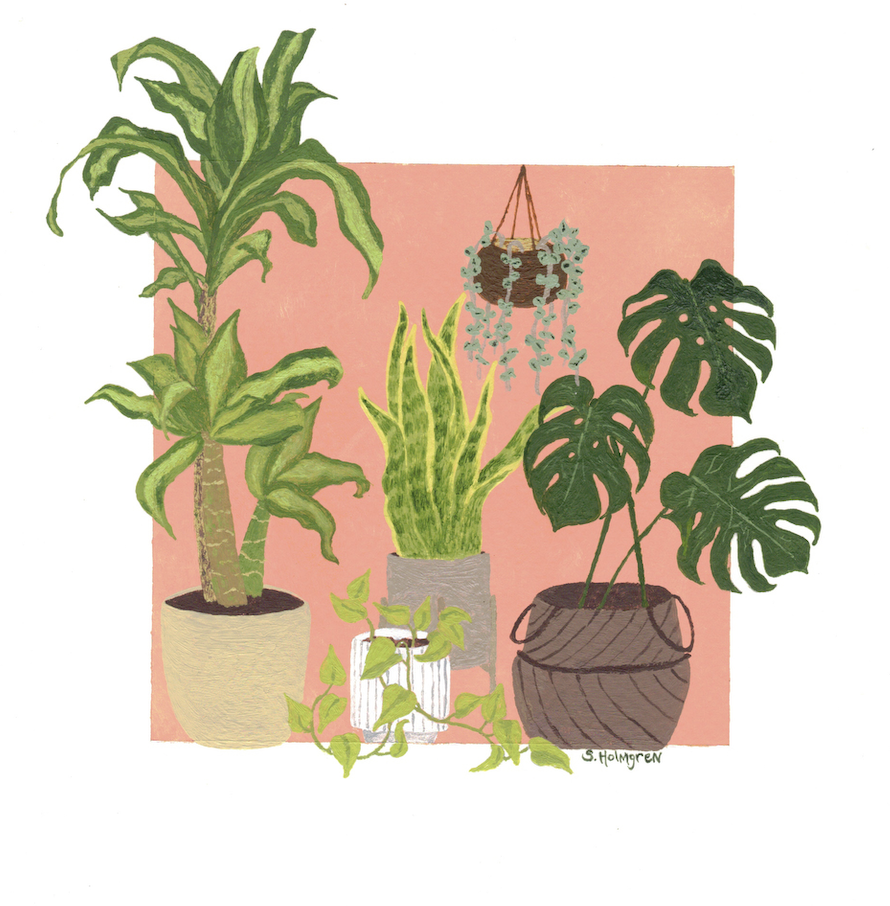 Plant House 8" x 8" - $30