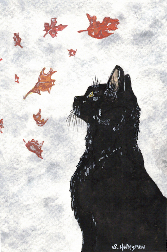 Cat's Attention 4" x 6" - $18