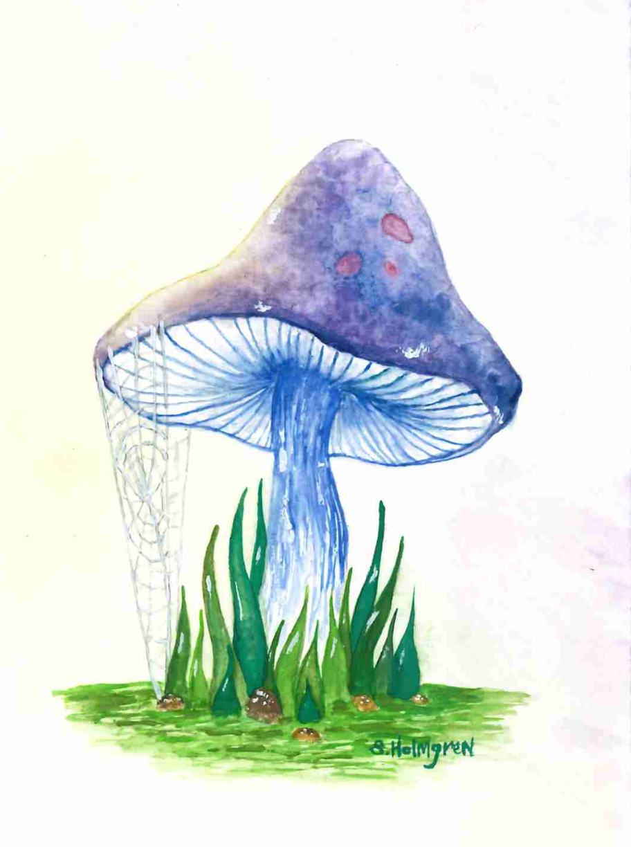 Sunlight Mushroom - 4" x 6" - $8