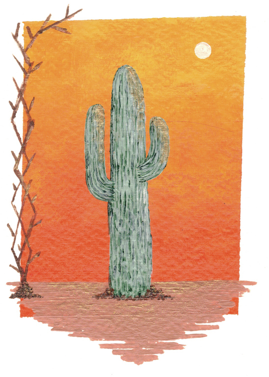 Warm Cactus - 4" x 6" - $8
