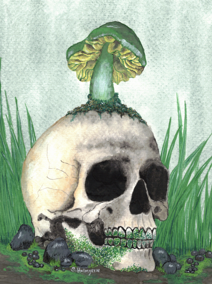 Mushroom Skull - 5" x 7" - $15