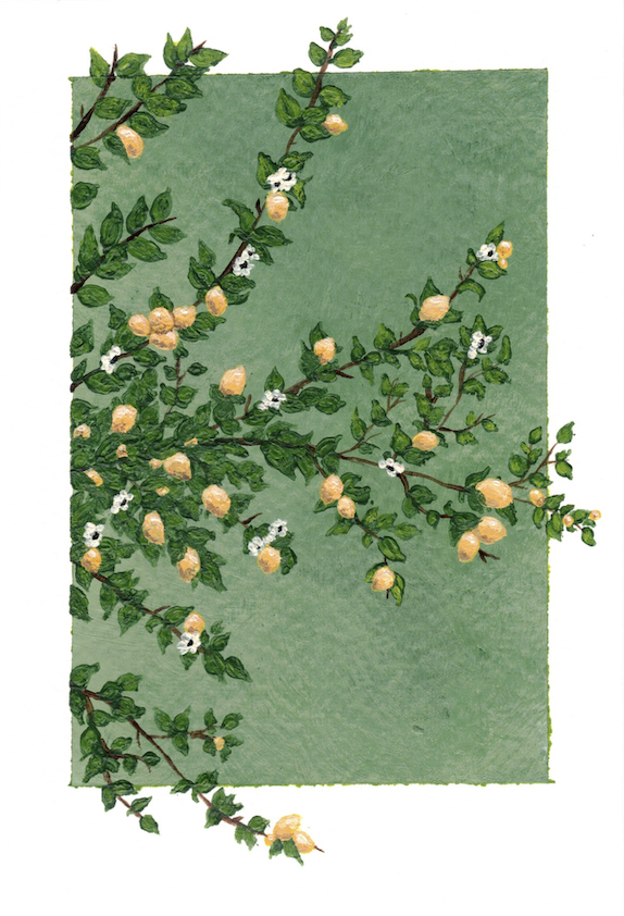 Lemon - 4" x 6" - $10