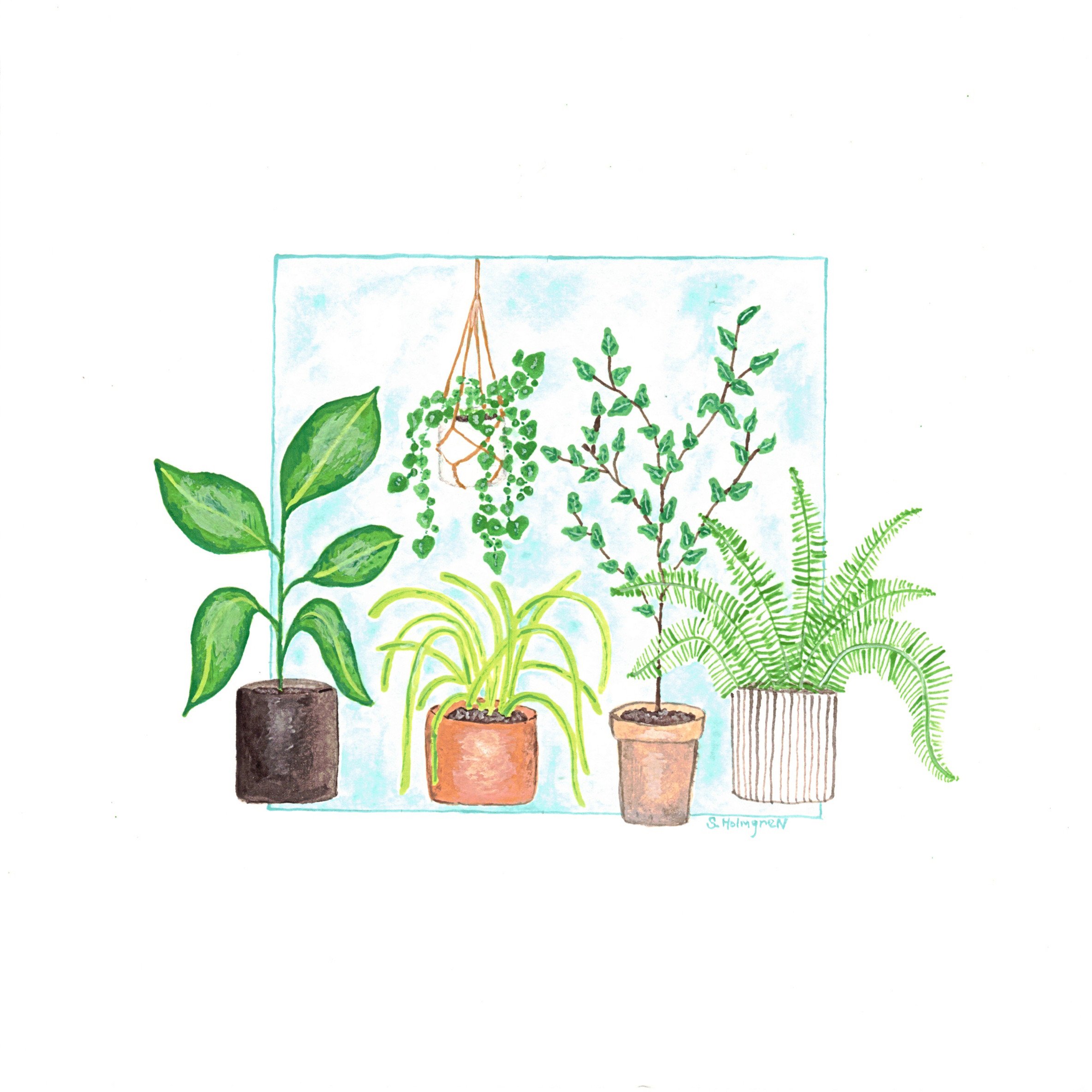 Plant House 2 - Gouache - 8" x 8" - $30