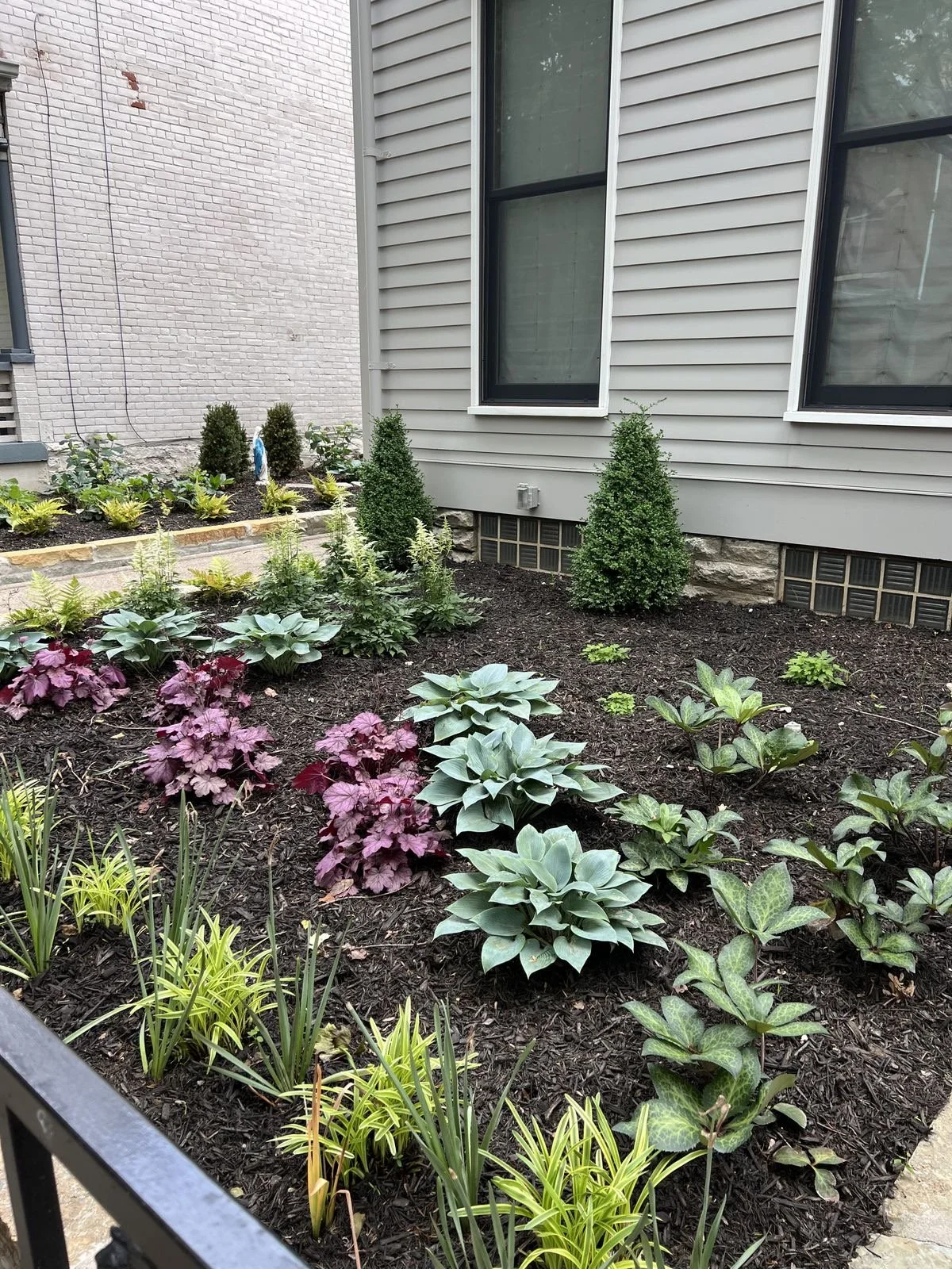 urban garden newly planted with shade tolerant perennials