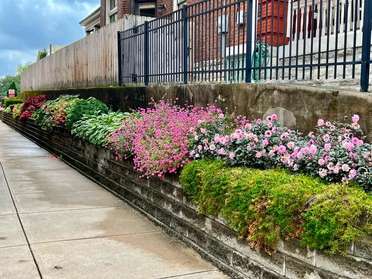 The East Row Gardener designed this elevated public garden for a church in Newport Kentucky .