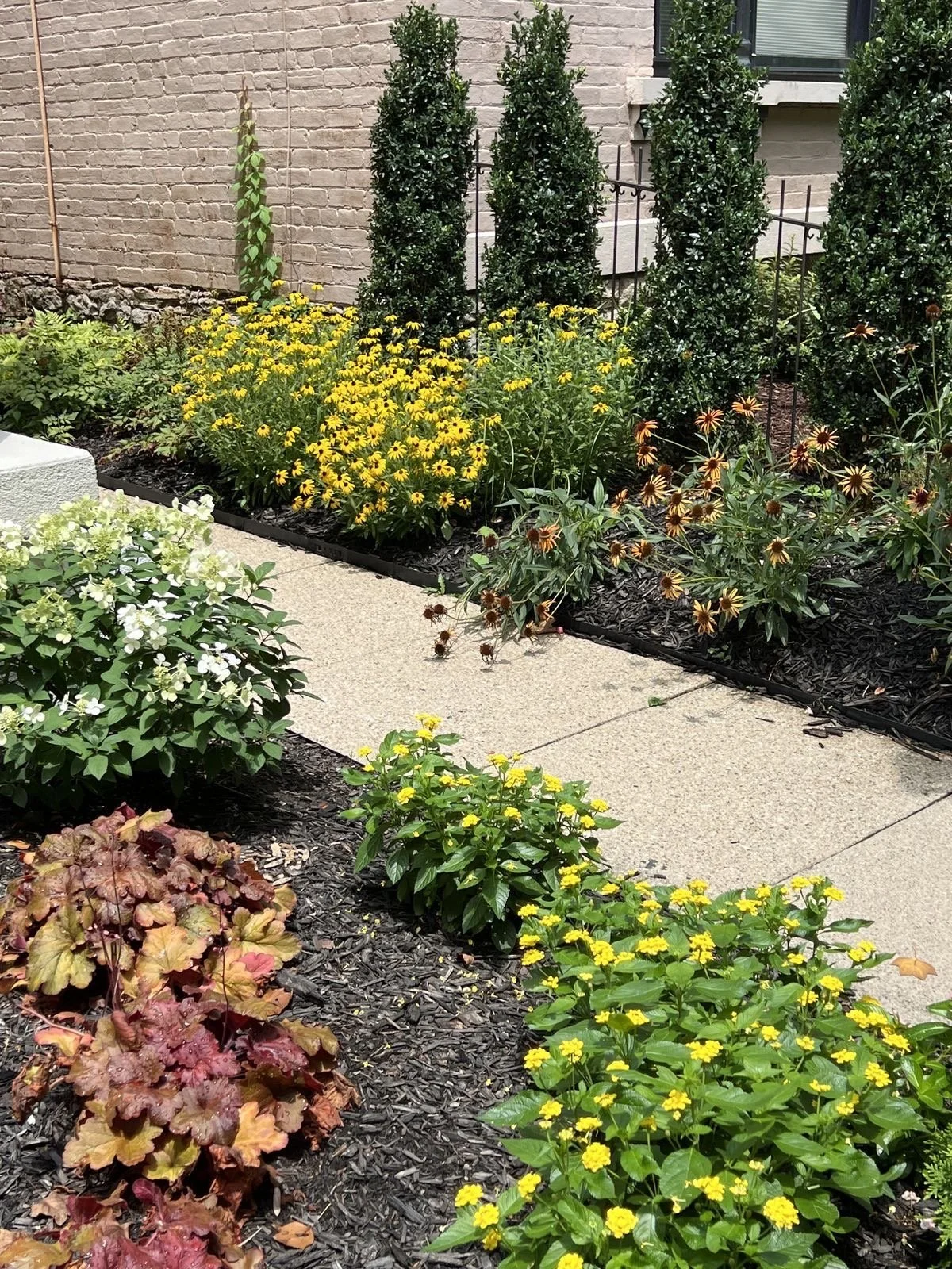 urban garden in Newport Kentucky