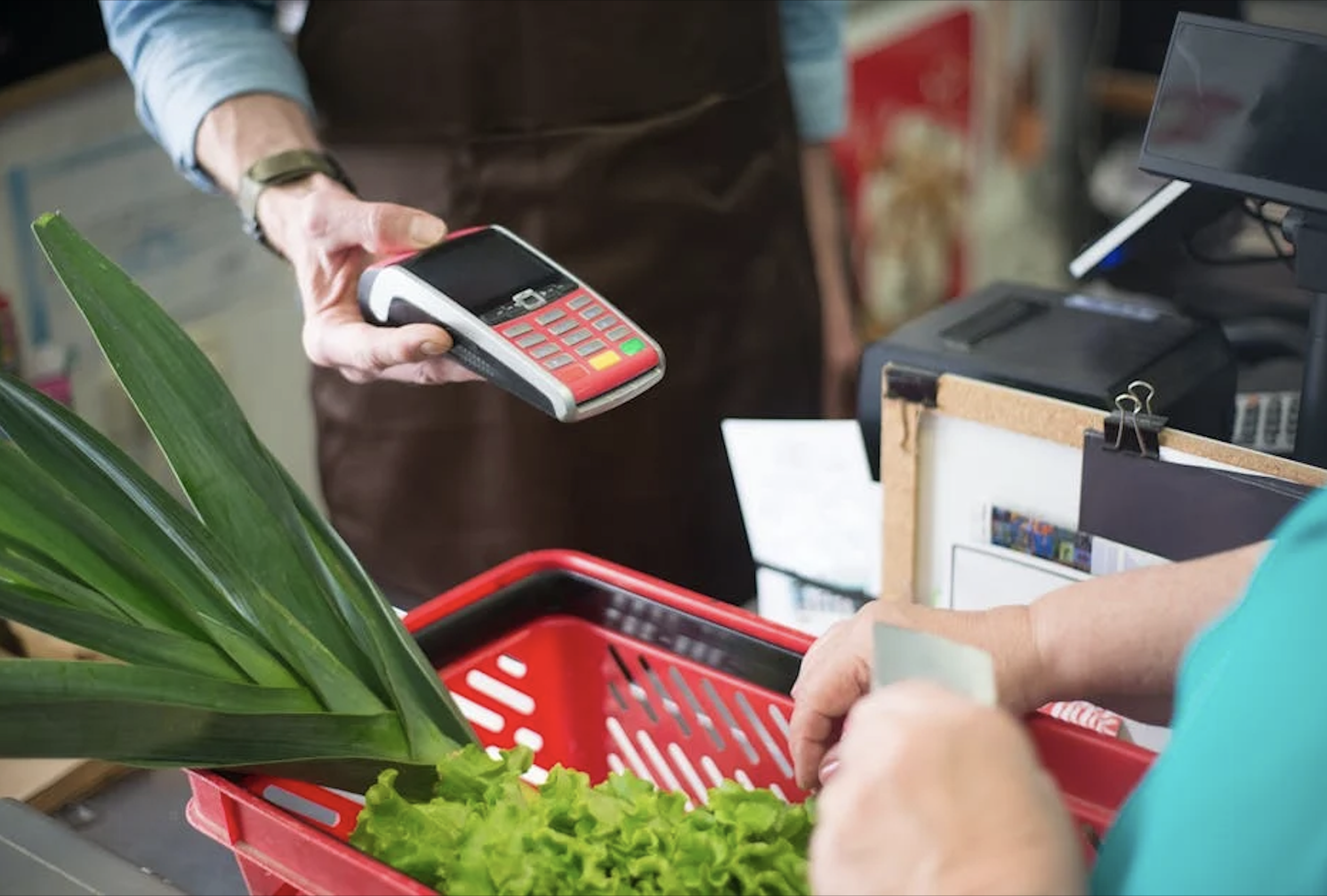 Starting a Payment Processing Company: Steps to Success