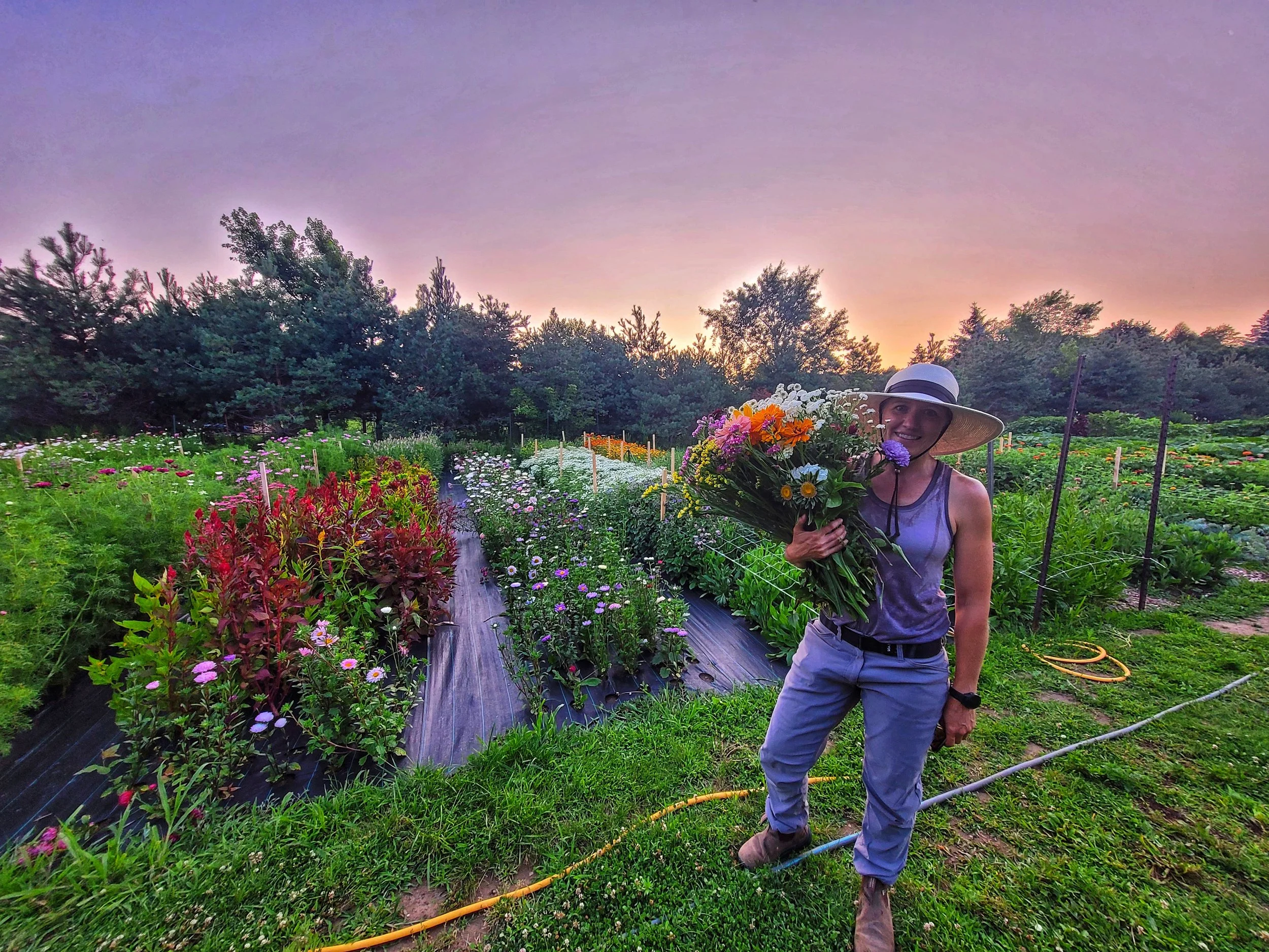 Sycamore Hill Flower Farm