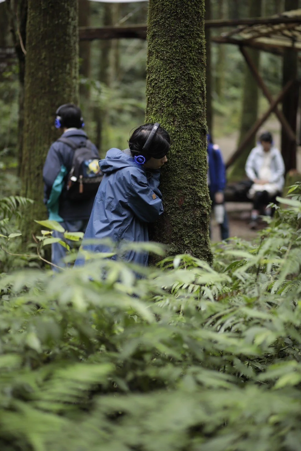 東眼山成為一棵樹 012.jpg