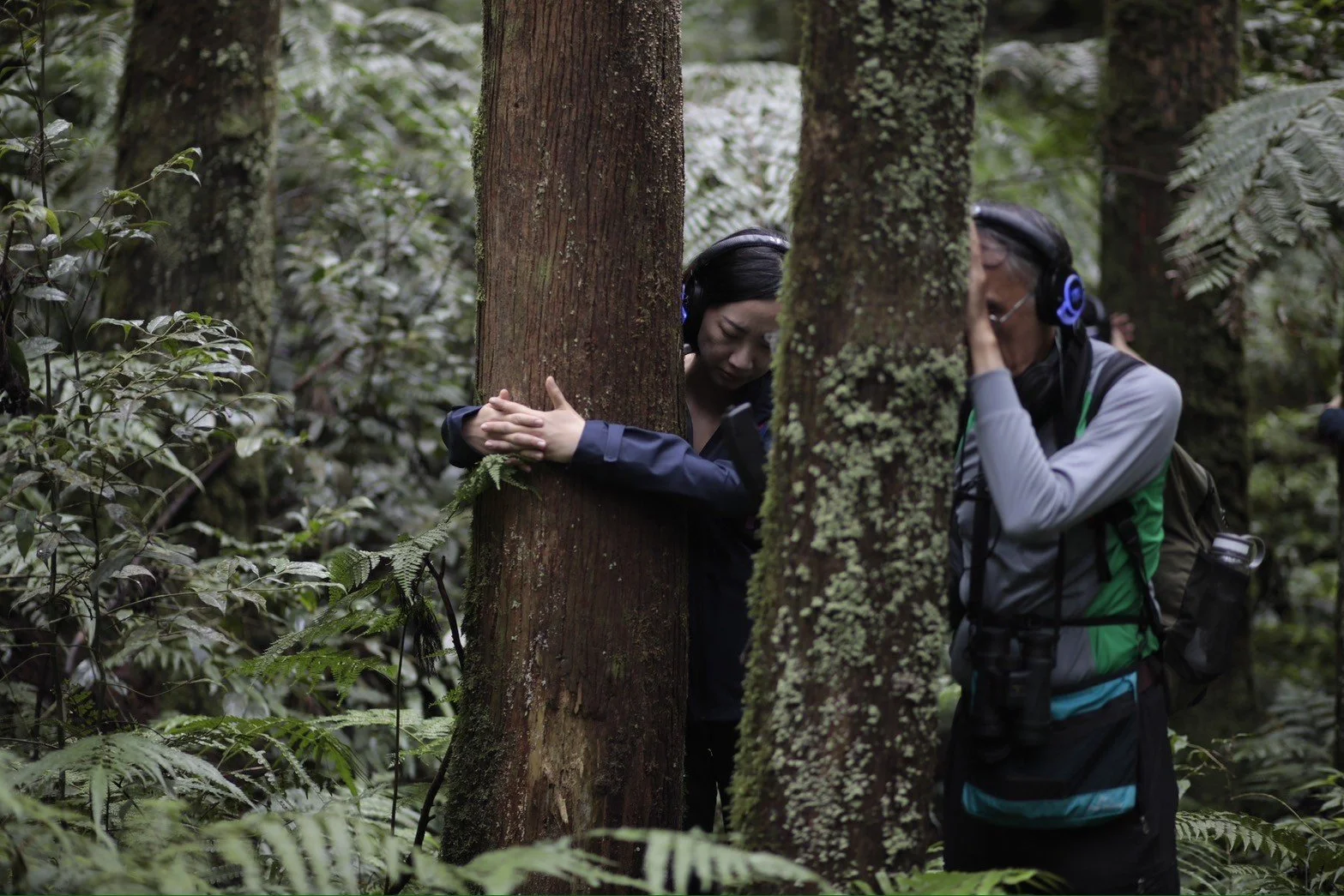 Becoming Part of the Forest, Dongyanshan Forest Recreation Area 30th Anniversary Celebration, 2024