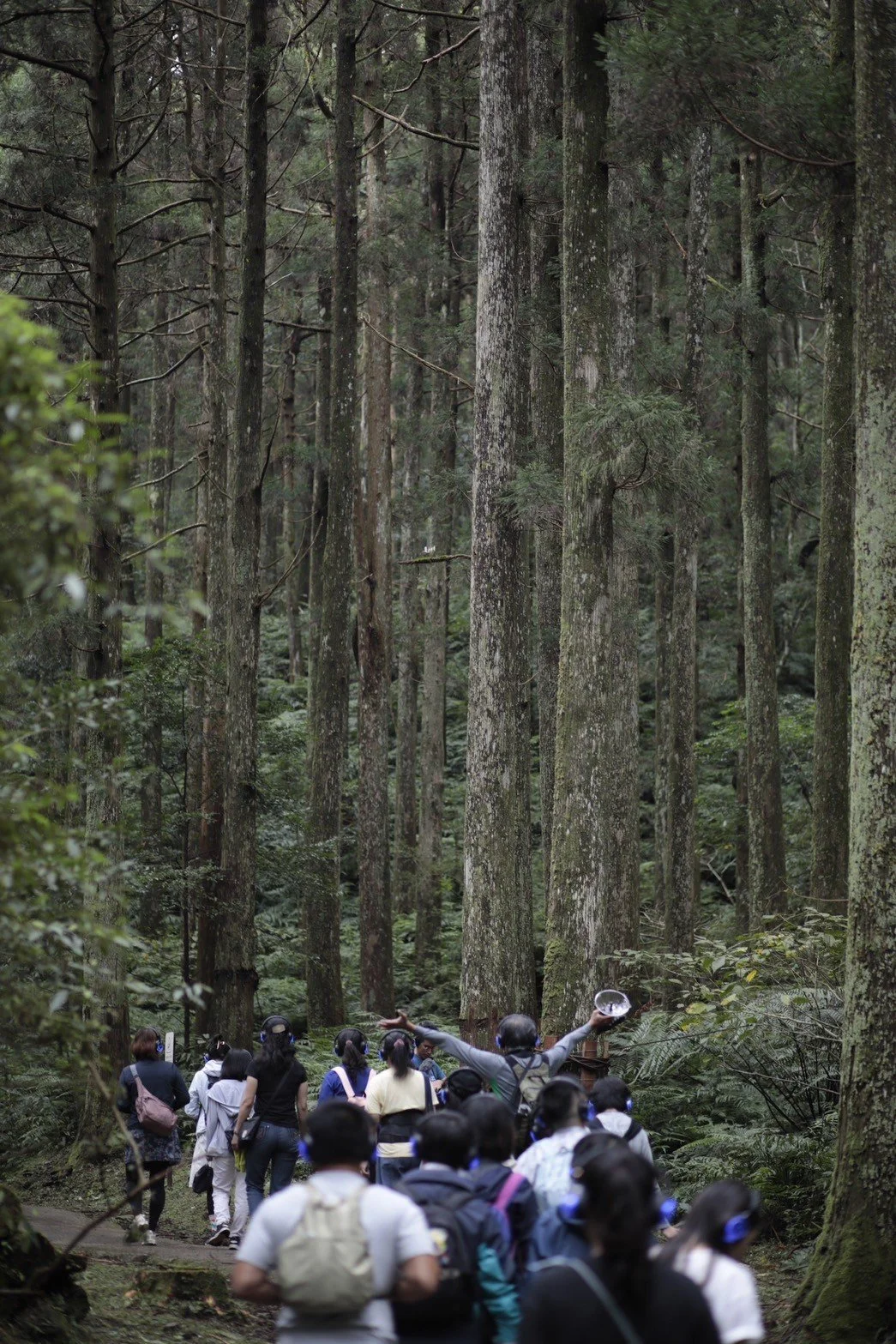 東眼山成為一棵樹 026.jpg