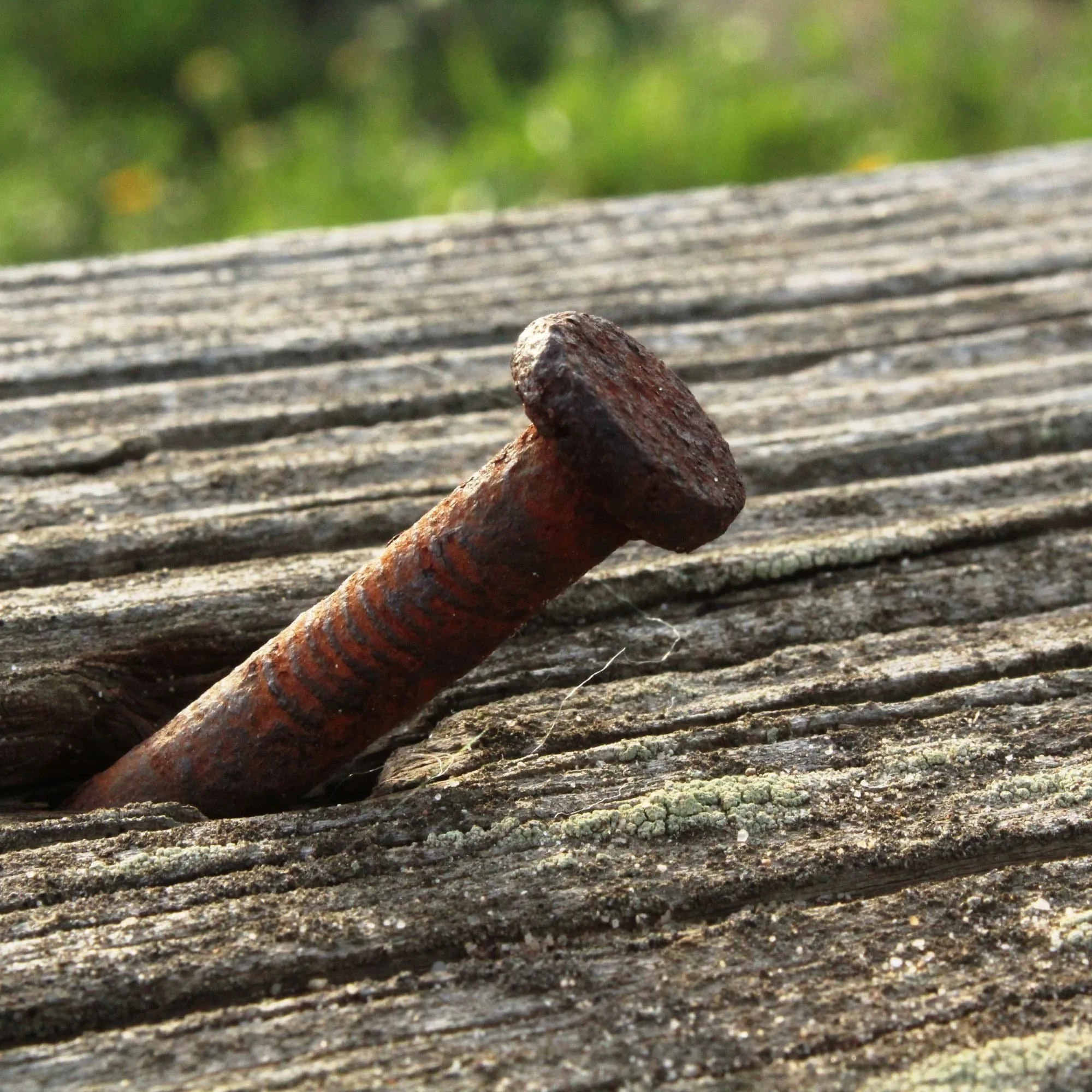 Rusty nail protruding from weathered wooden surface.