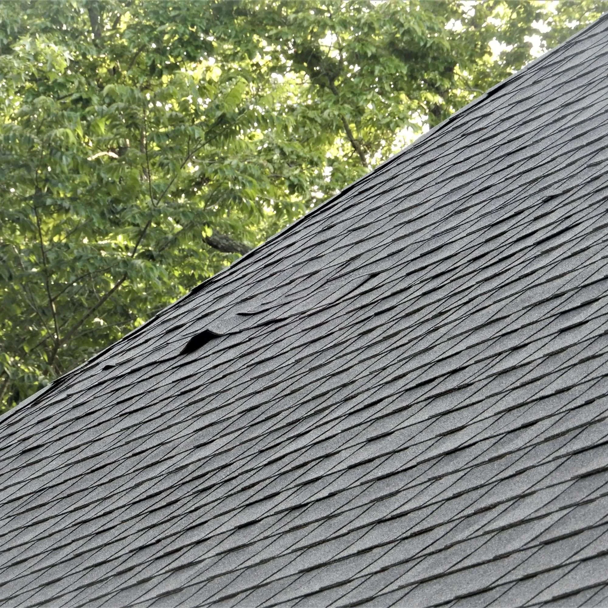 Roof with damaged asphalt shingles and trees in the background.