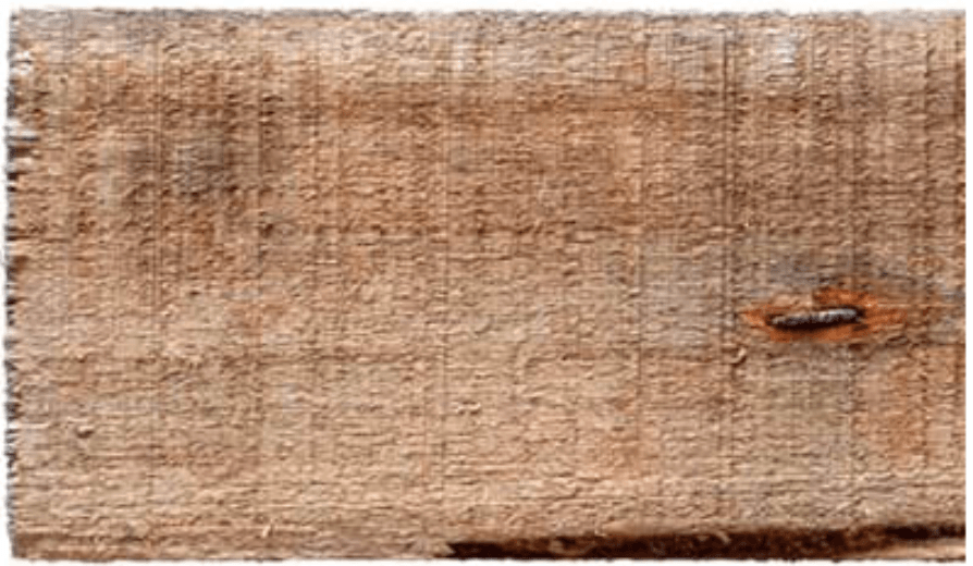 Close-up of a textured wooden surface with visible grain and a small knot.