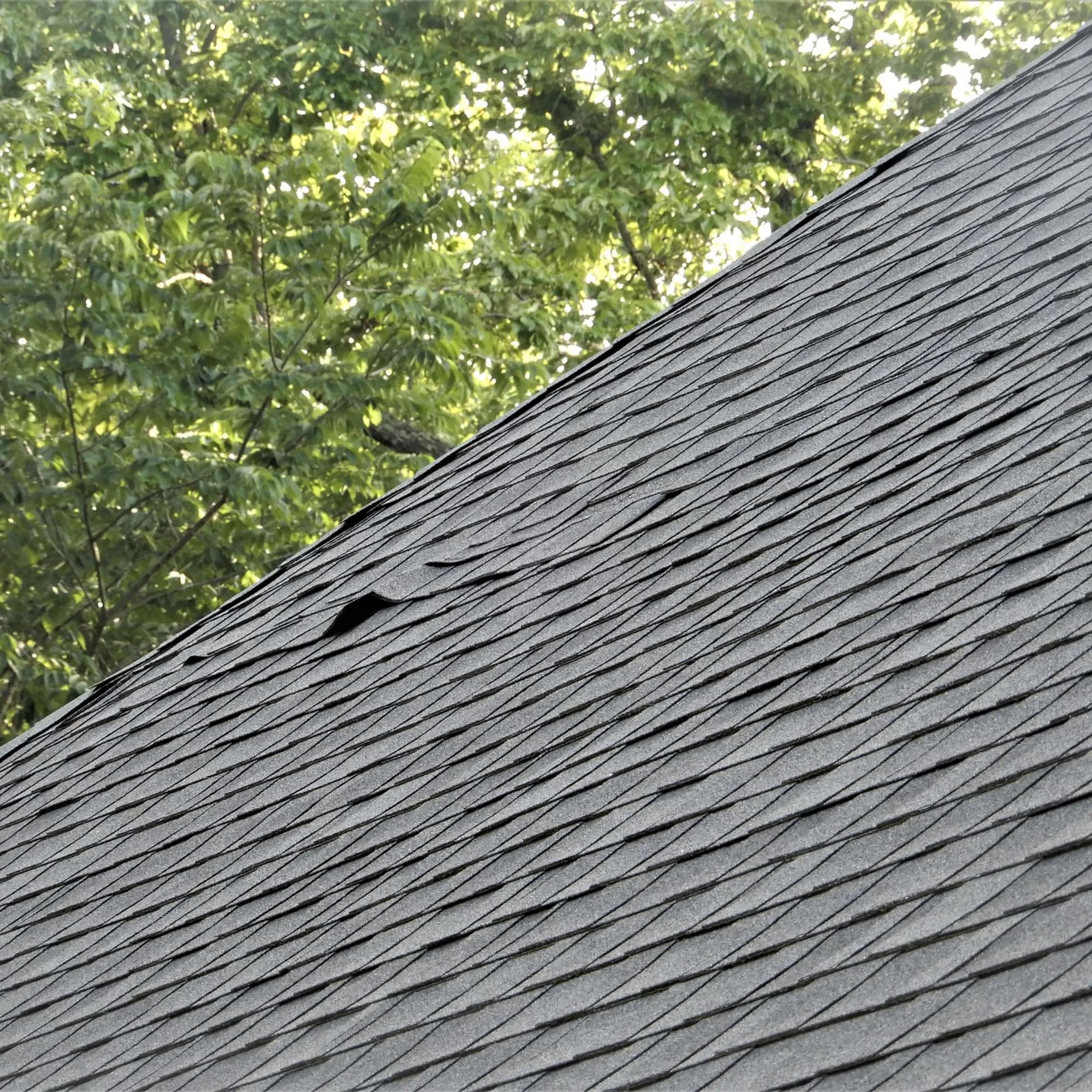 Curling and lifting asphalt shingles near roof eave indicating advanced shingle deterioration