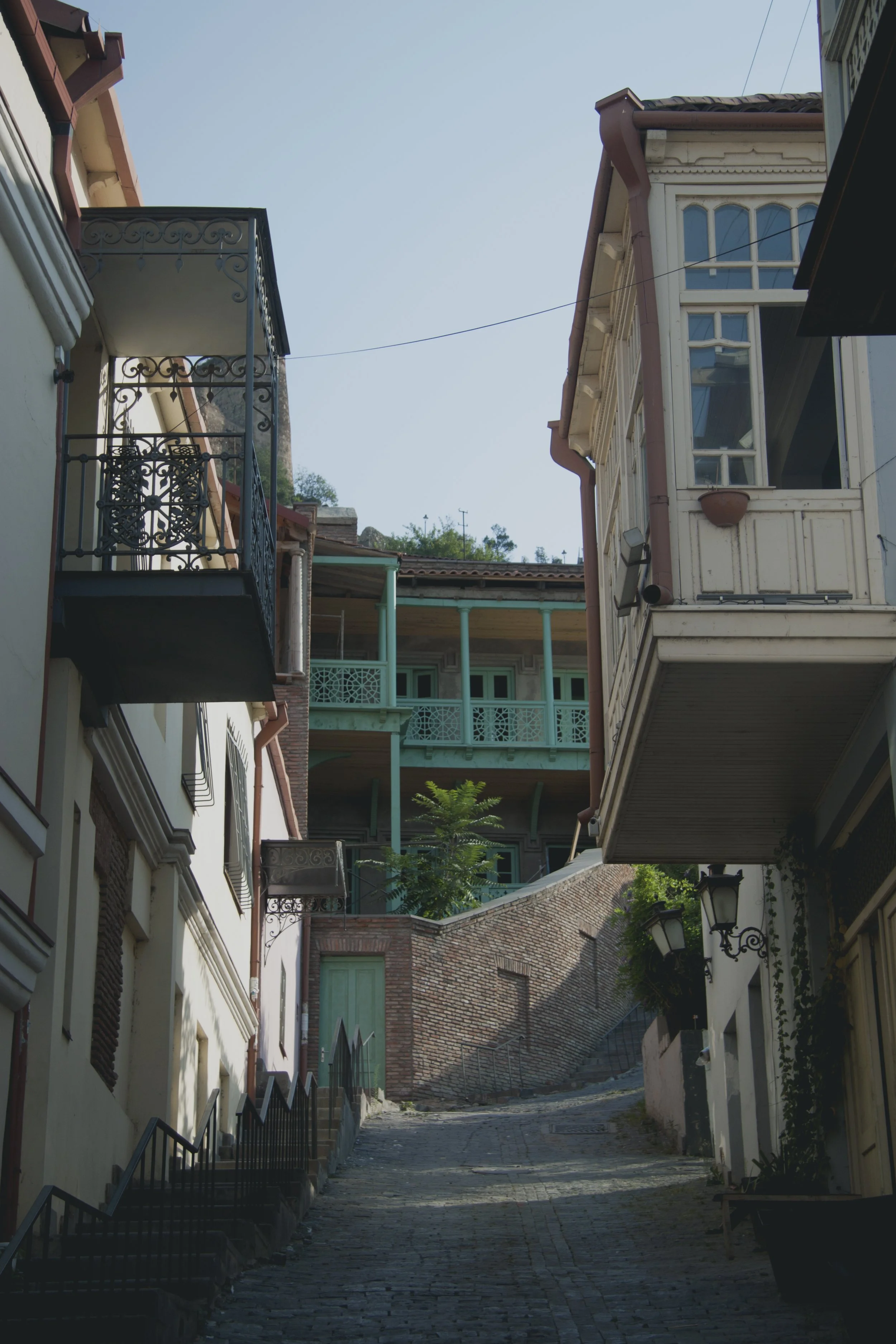 _MG_7686.jpg