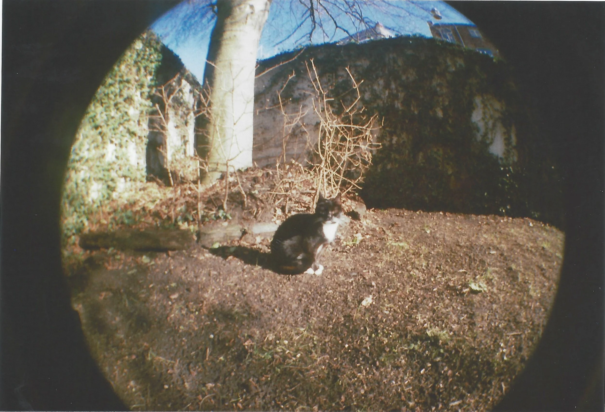 033.jpg