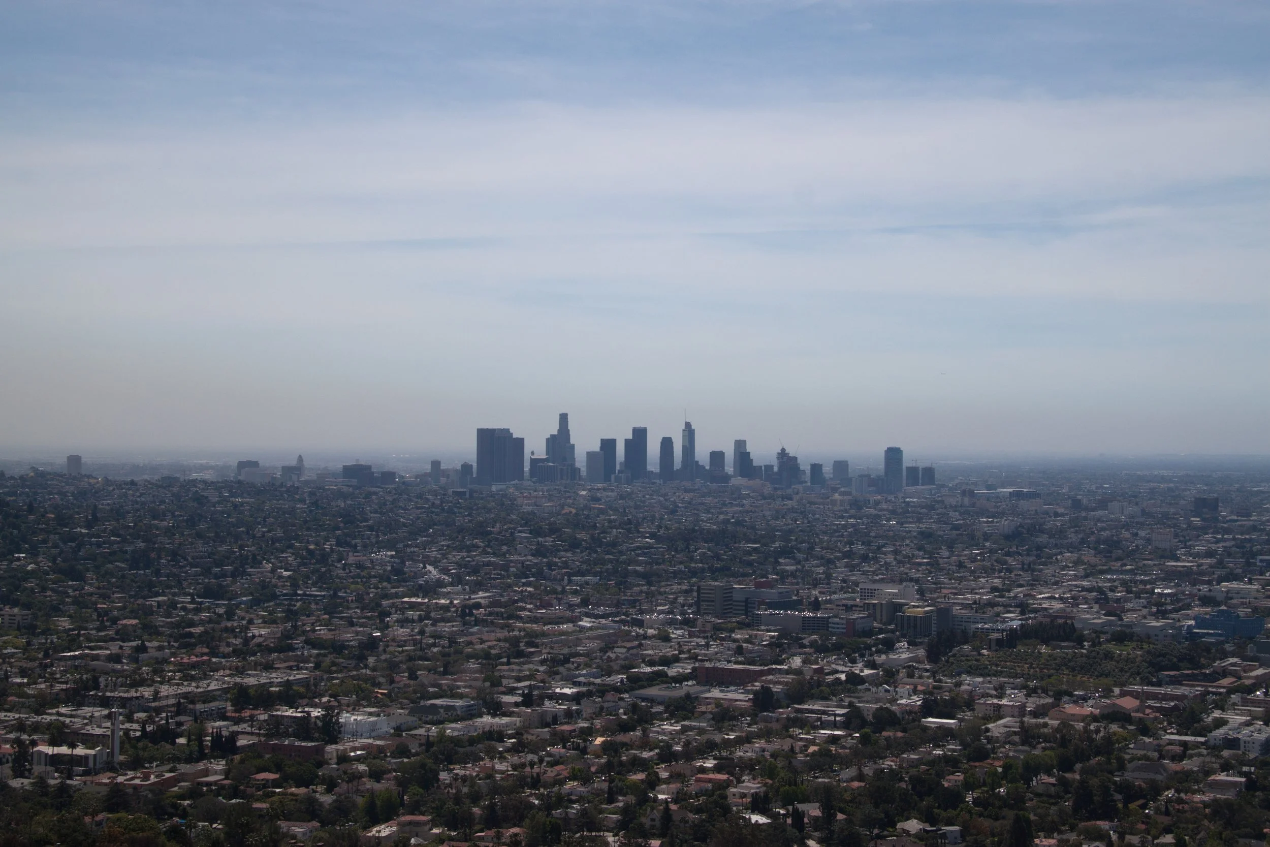 _MG_2460.jpg