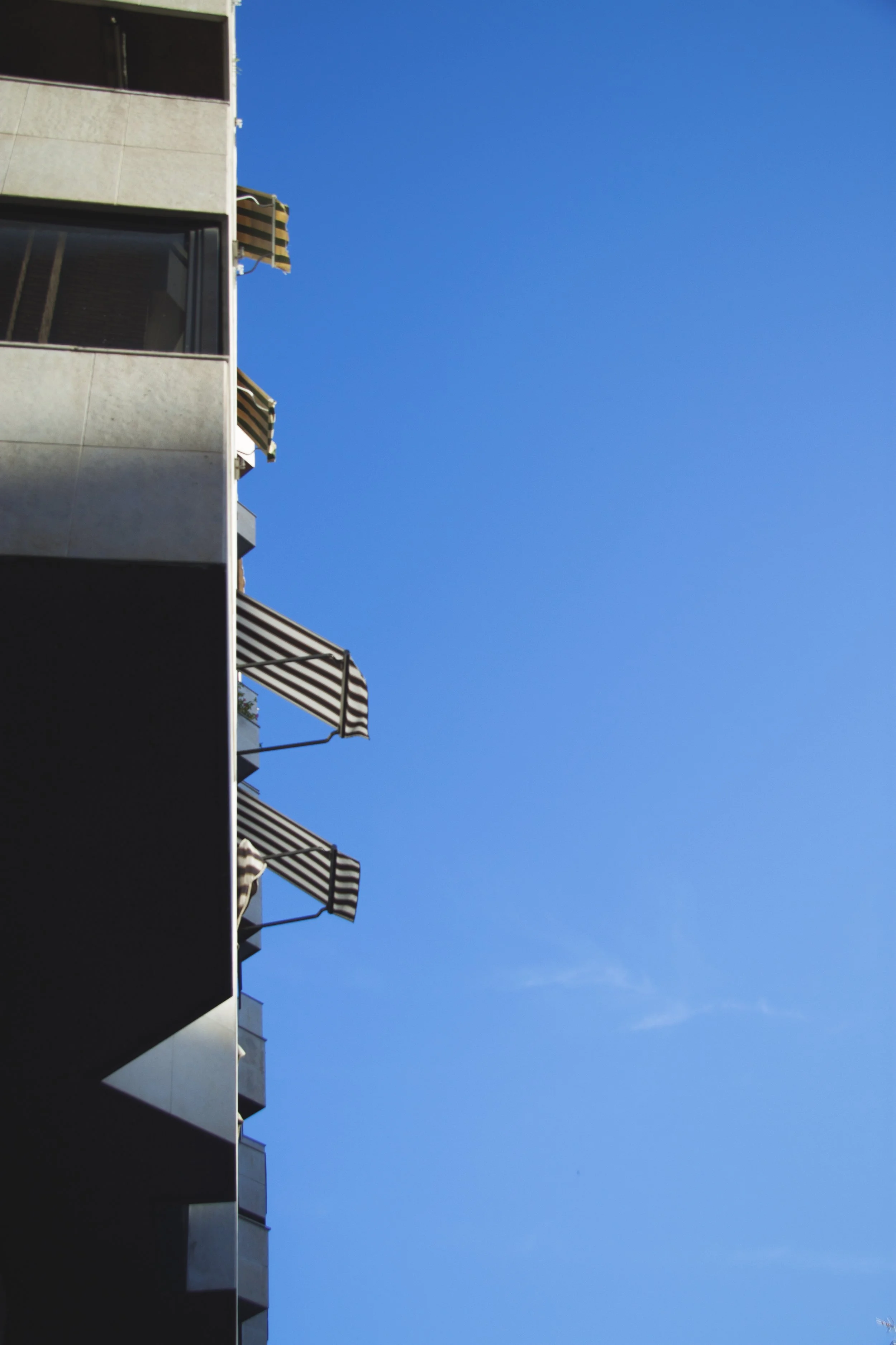 _MG_3964.jpg