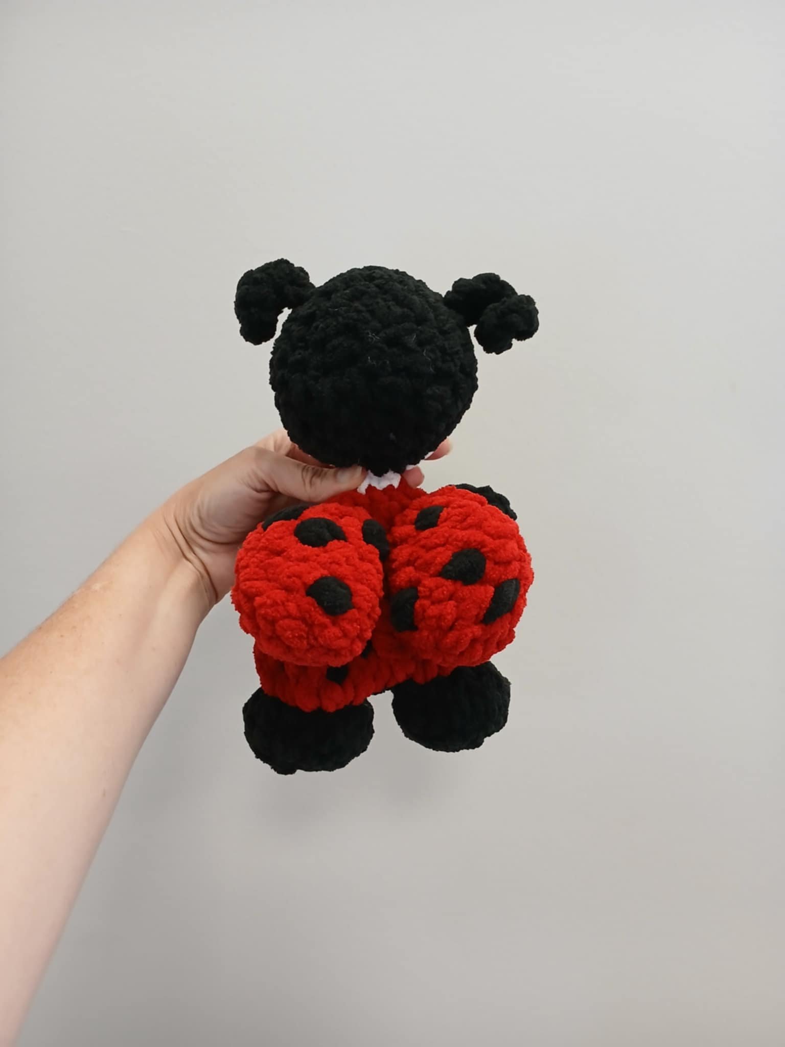Lady bug back.jpeg