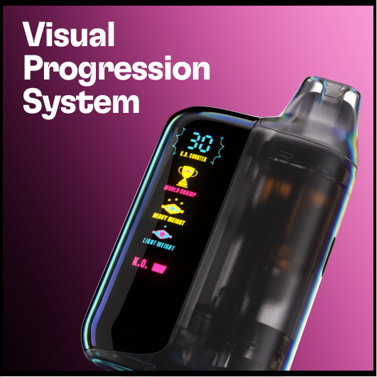 visual-progression-system.png