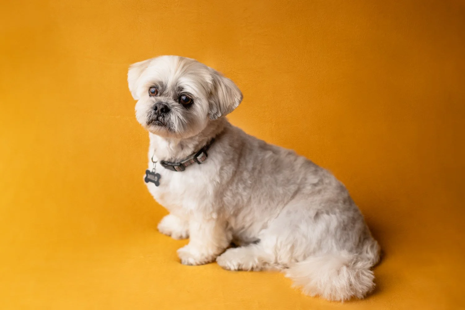 Headshot-branding-photographer-203.jpg