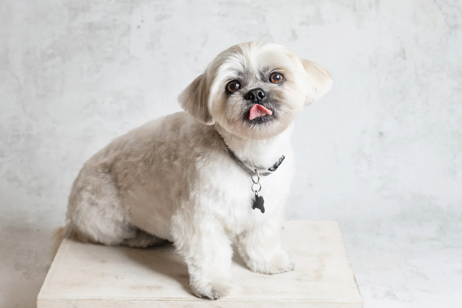 Headshot-branding-photographer-200.jpg