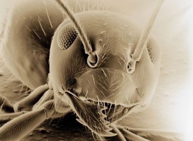 2018-06-09 17_58_40-Salinger Photography.jpg