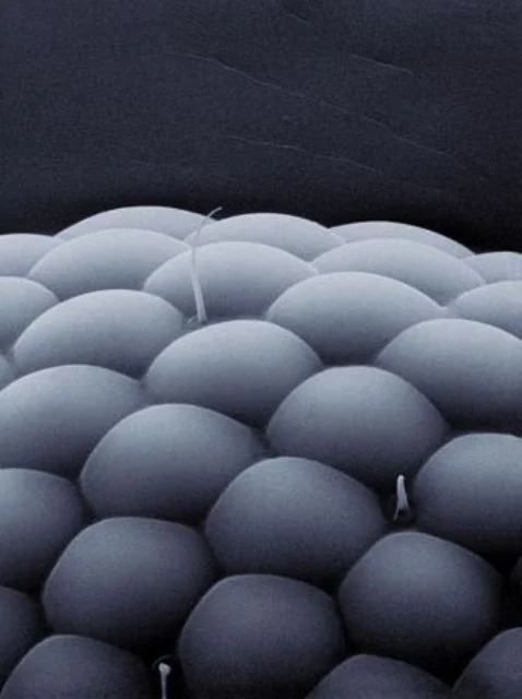 2018-06-09 17_59_32-Salinger Photography.jpg