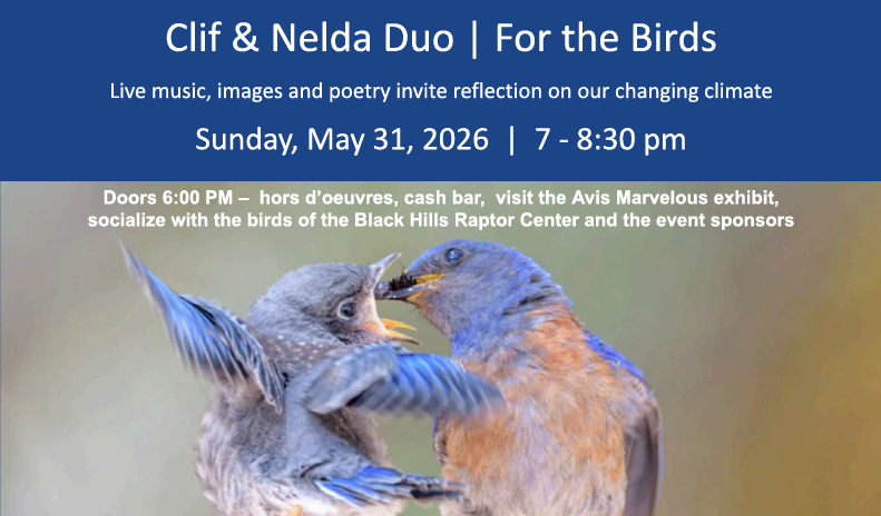 For The Birds - Live Music, Art, and Poetry 