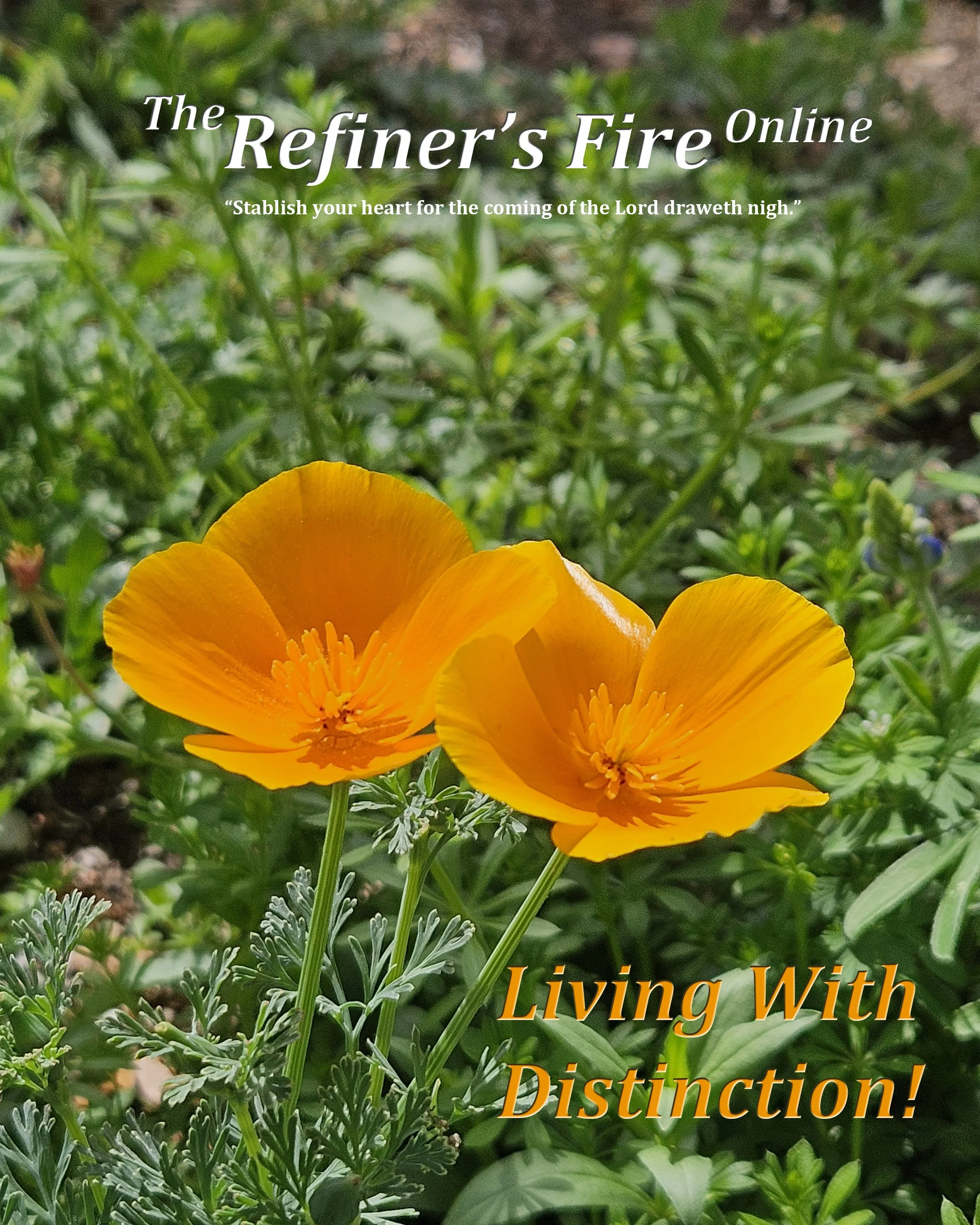 The Refiner's Fire Online Living With Distinction