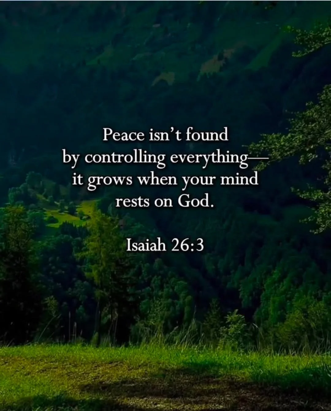 Peace isn't found by controlling everything - it grows when your mind rests on God. Is 26:3