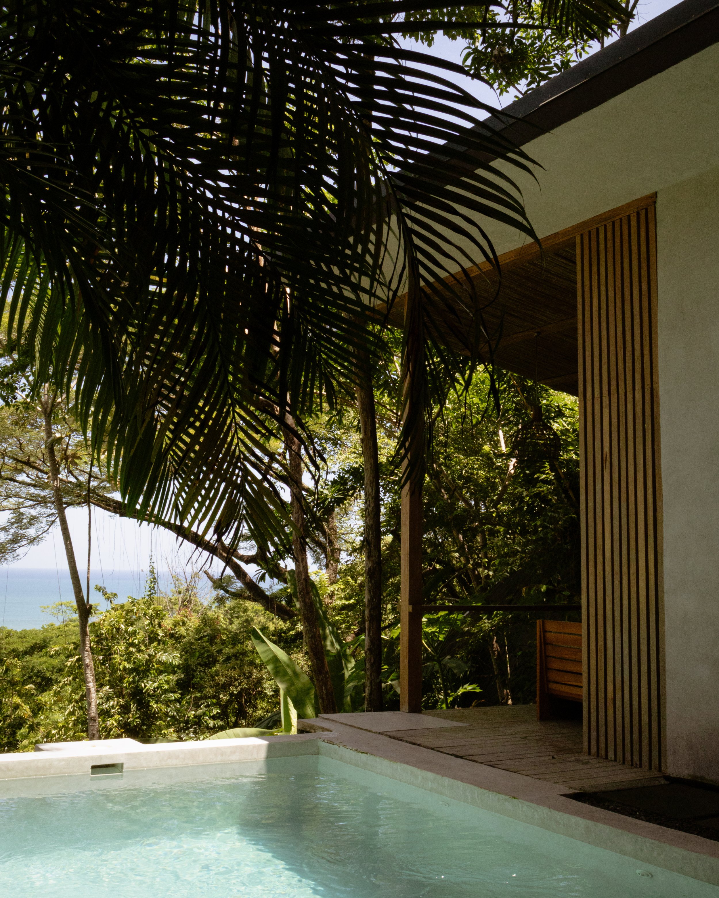 Selva House, Costa Rica