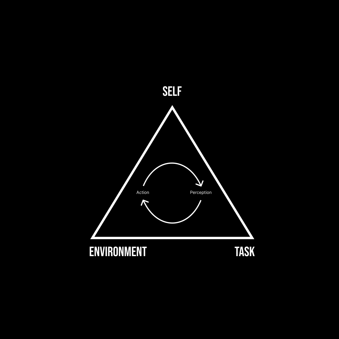 Ecological Dynamics in Rehab