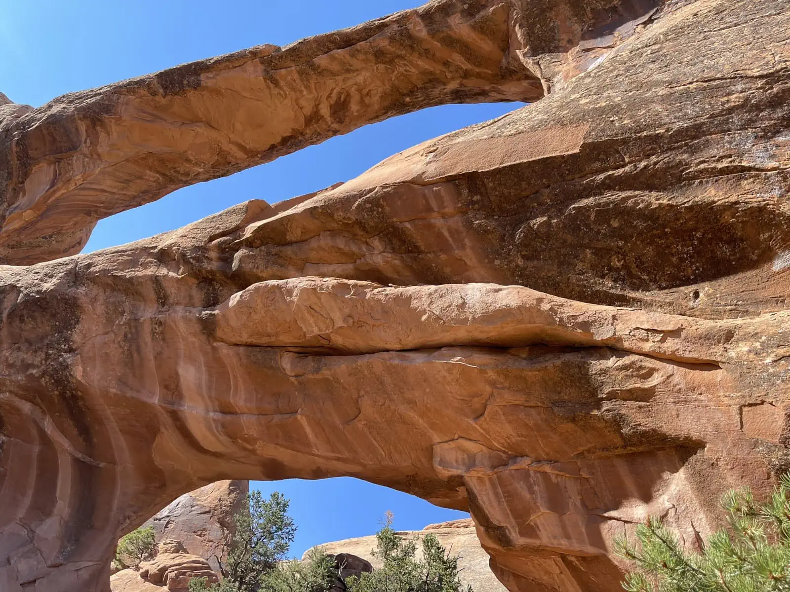 Announcements Fall 2023