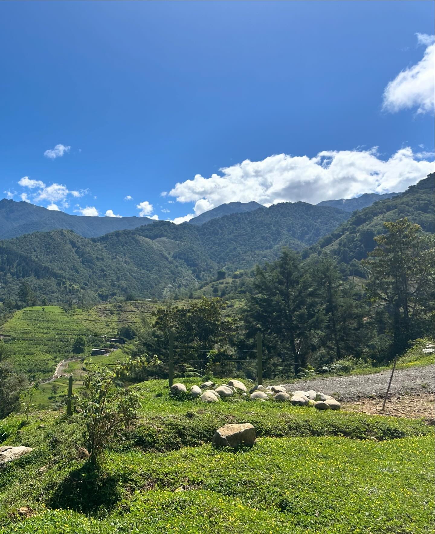 The awe inspiring beauty of our location at the Elemental Healing Retreat in Costa Rica.  Visit sunnystrasburg.com/retreats to learn more, or LINK IN BIO🧚🦋🐍🐆🌿 #elementalhealingretreat #psychedelicassistedpsychotherapy #sunnystrasburg #sunnystras