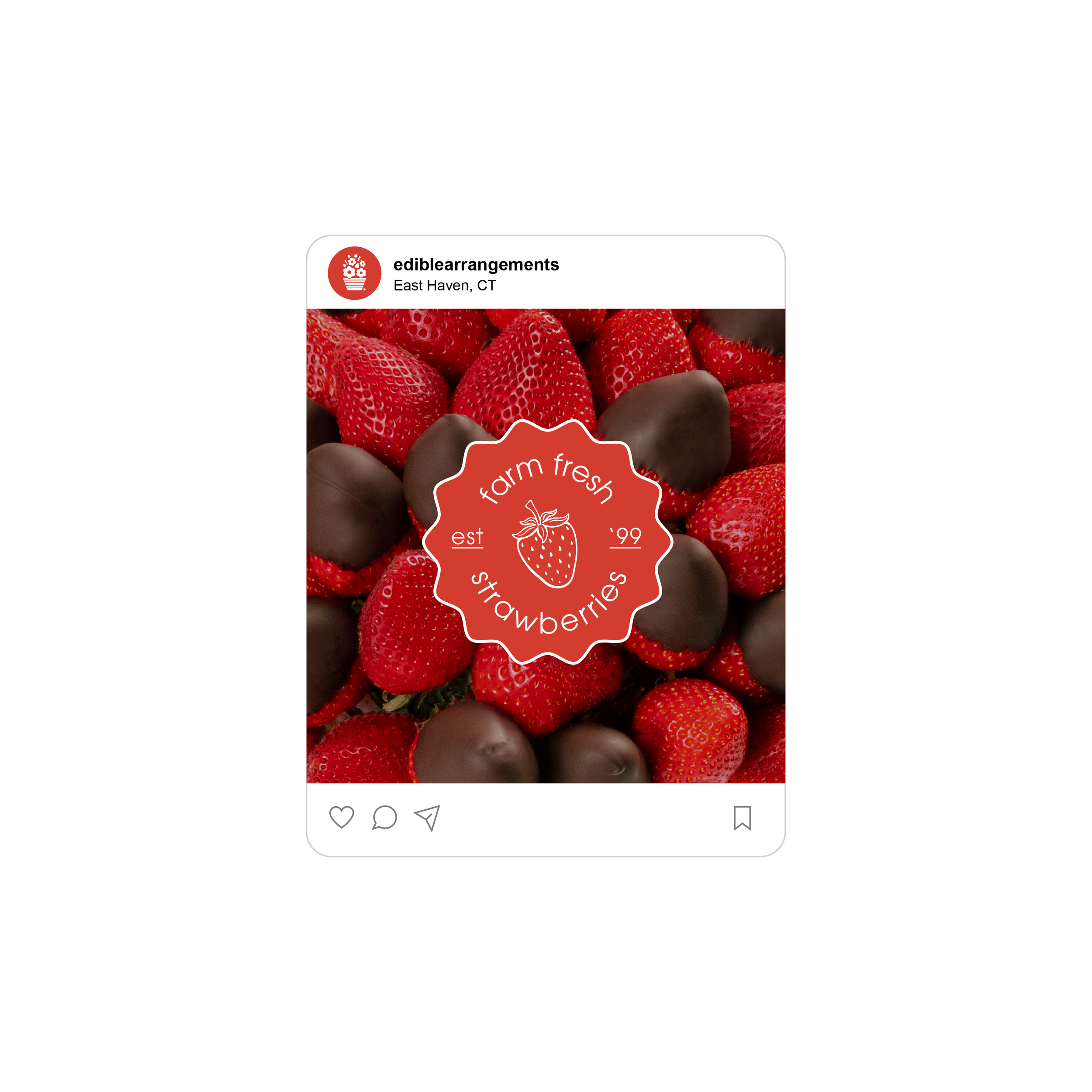 2025_Edible_Social_Mockups_X.png