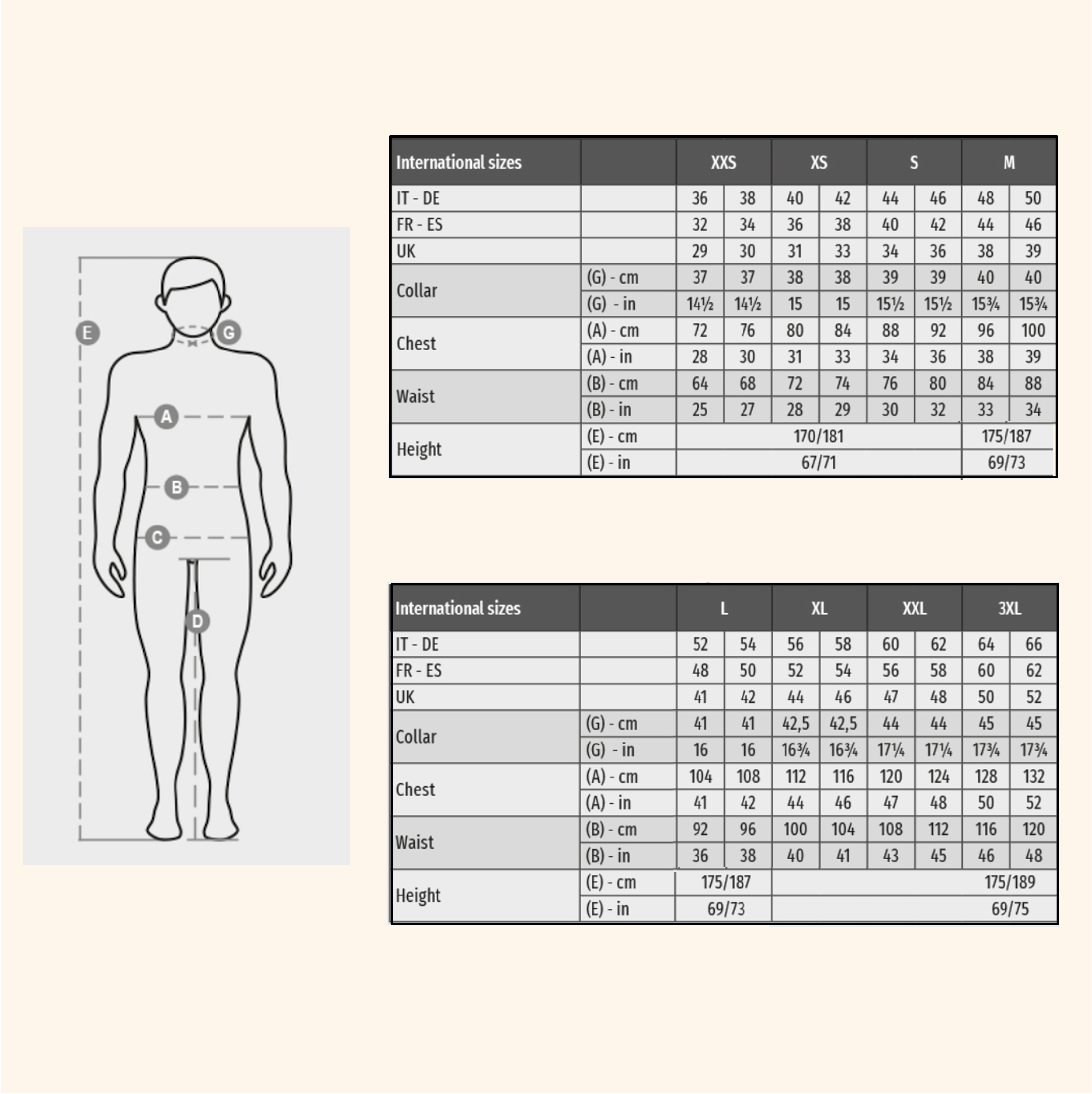 Guide des Tailles site WCF.png