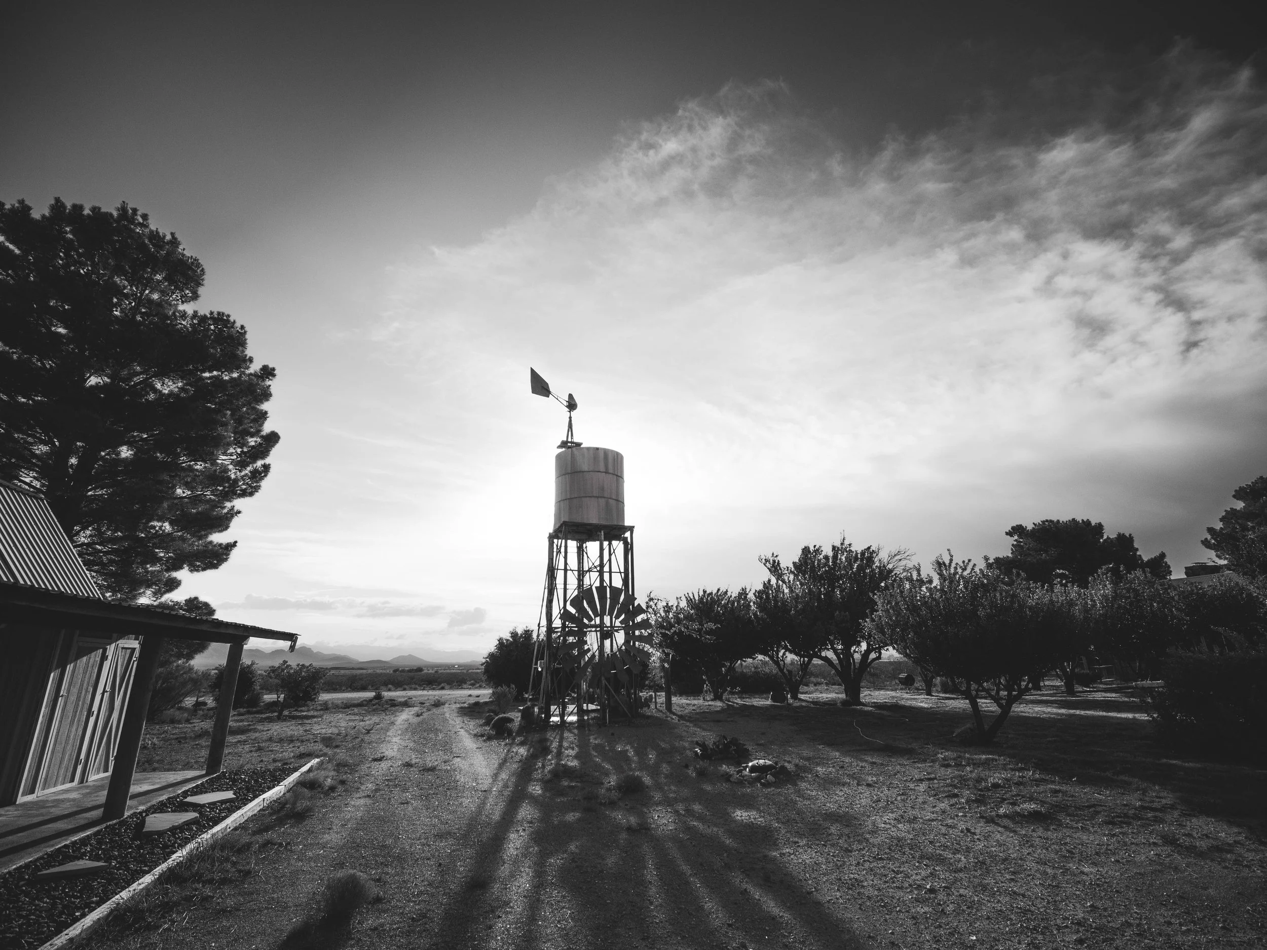 untitled (1 of 1).jpg