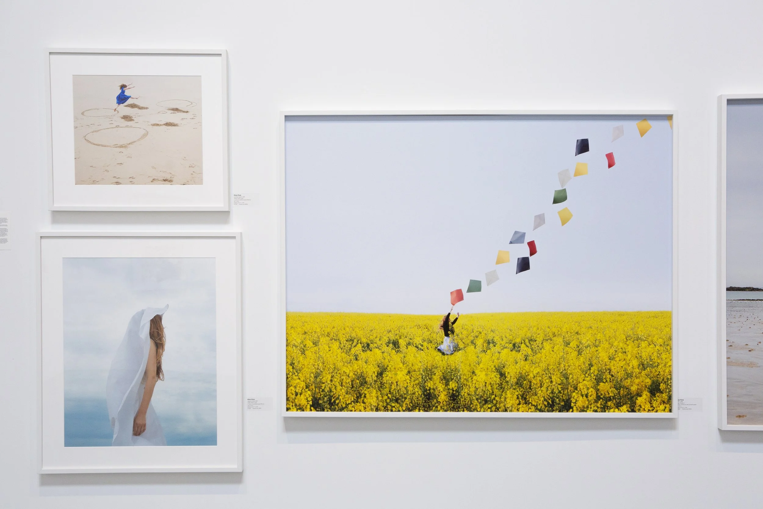 Exposition Los Angeles Gallery XII Fine art Photography Group show Santa Monica California